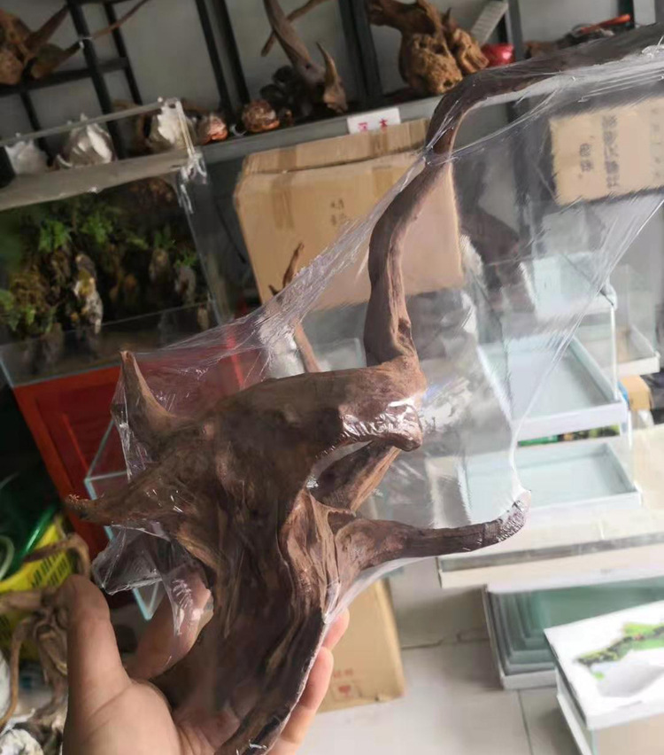 小沉木景观造景天然素材undefined