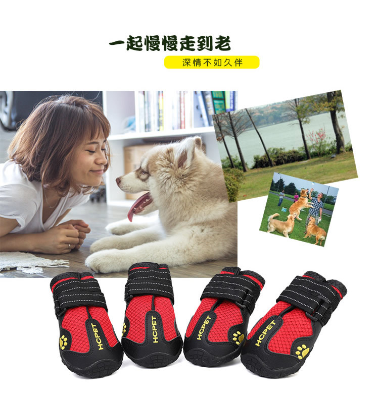 透气大狗鞋_r2_c1.jpg