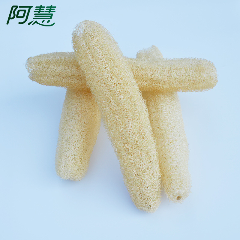 小丝瓜-5.jpg