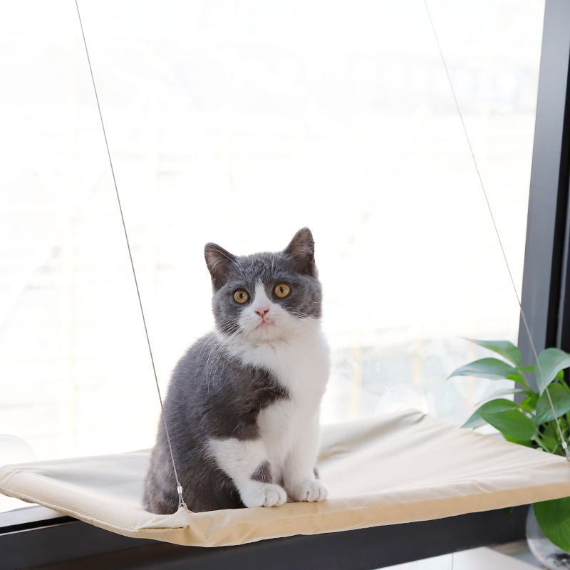 吸盘式TV猫吊床5