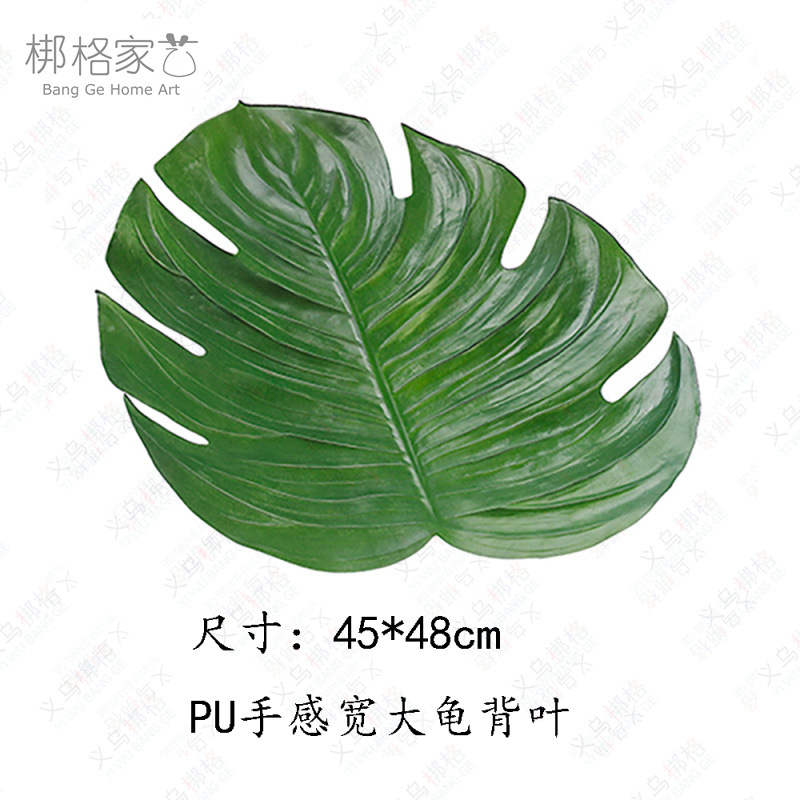 PU手感宽大龟背叶  (2).jpg