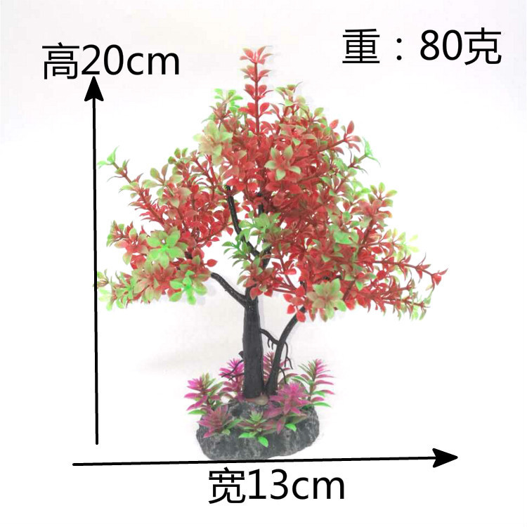 4648050622_584098406