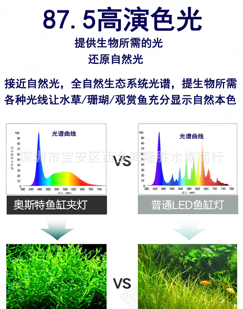 QQ截图20191021233636.jpg