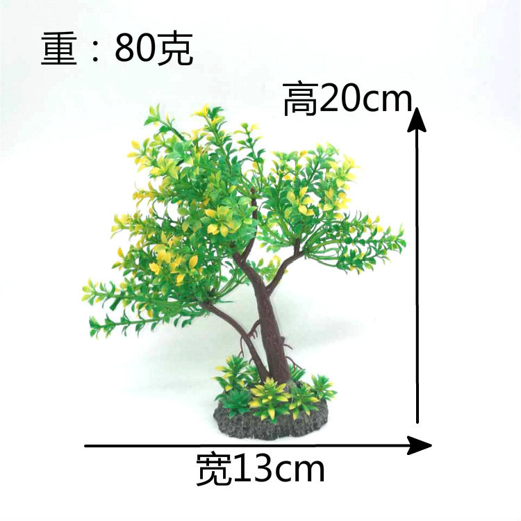 4644560777_584098406