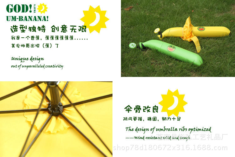 8913278649_398524934