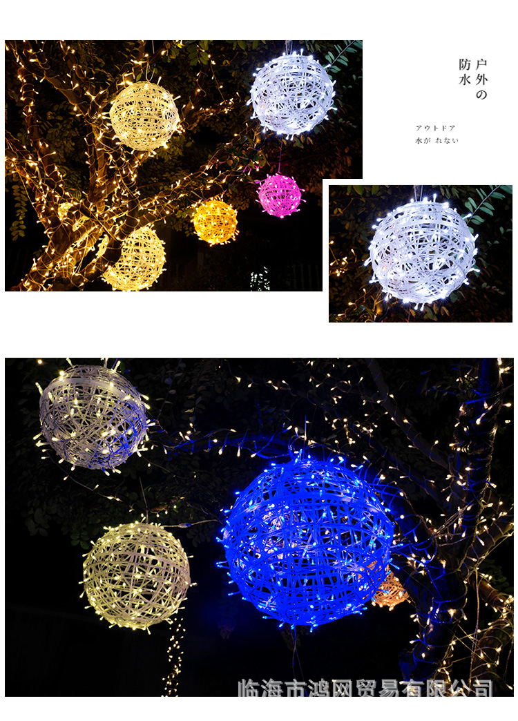 藤球2_07 (2)