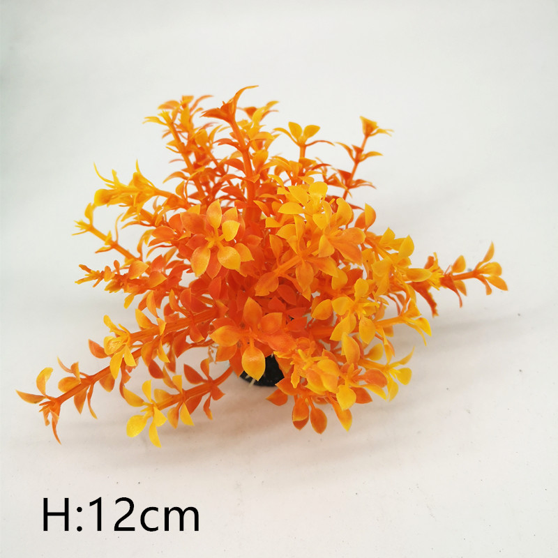 IMG_20190701_110221_副本