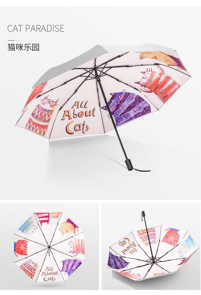 猫咪乐园 (2).jpg