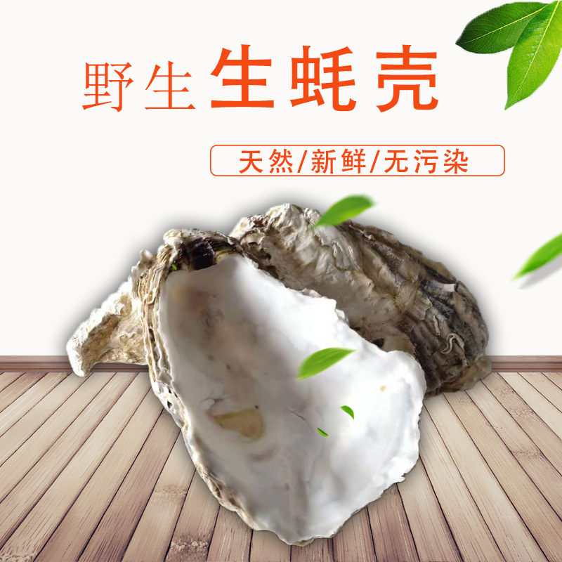 O1CN01oaRl8z2AC4nZaNXqP_!!7999