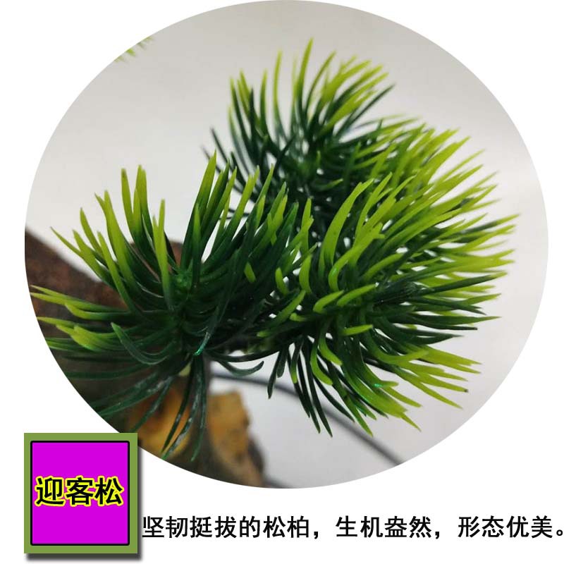 微信图片_20190822111605