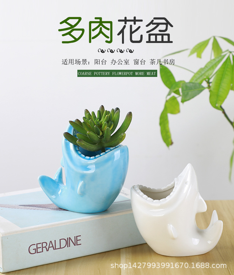 鲨鱼花盆_01.jpg