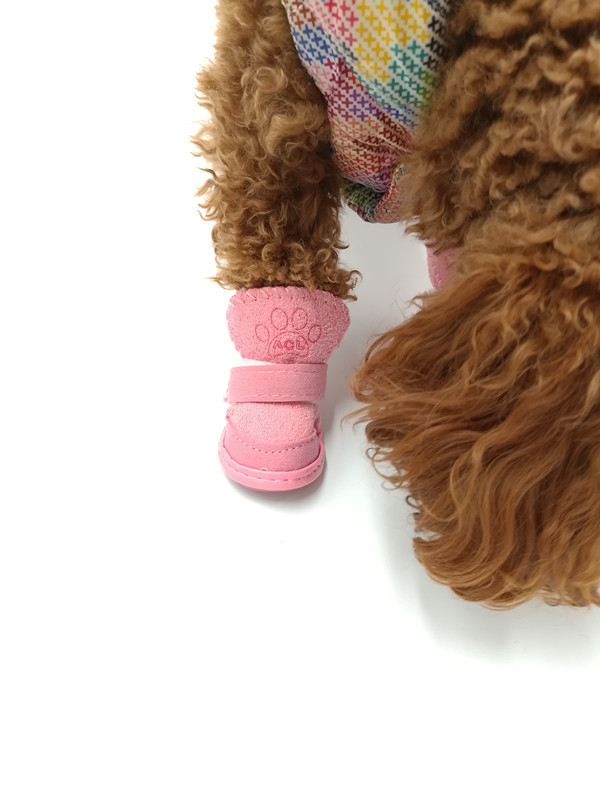 QQ图片20170228145759_副本