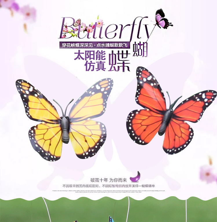 蝴蝶详情页_01.jpg