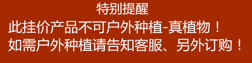 微信图片_20190325135935