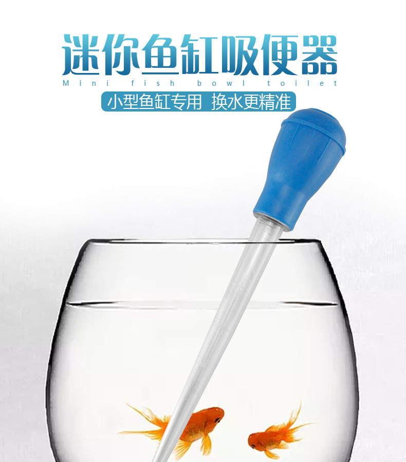 4361327548_453405772