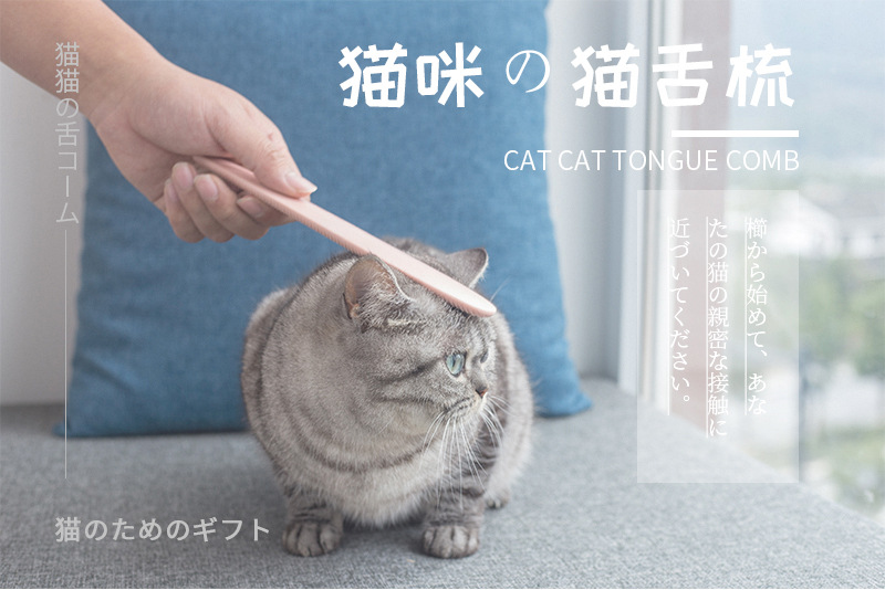 详情_01.jpg