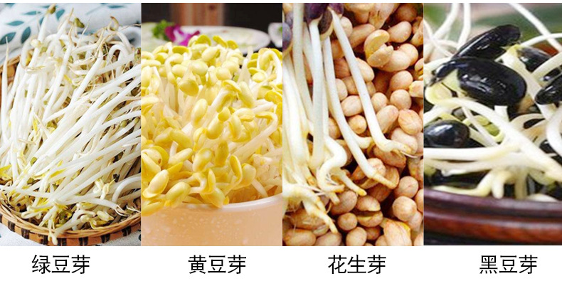 豆芽机2_04
