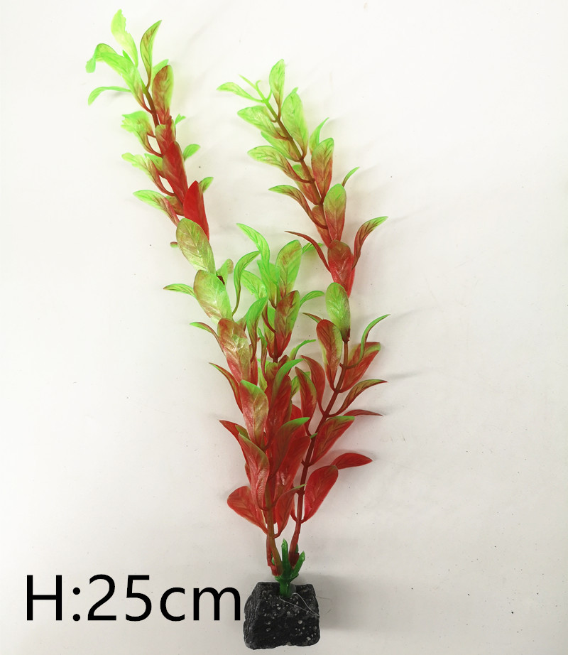 IMG_20190701_104636_副本