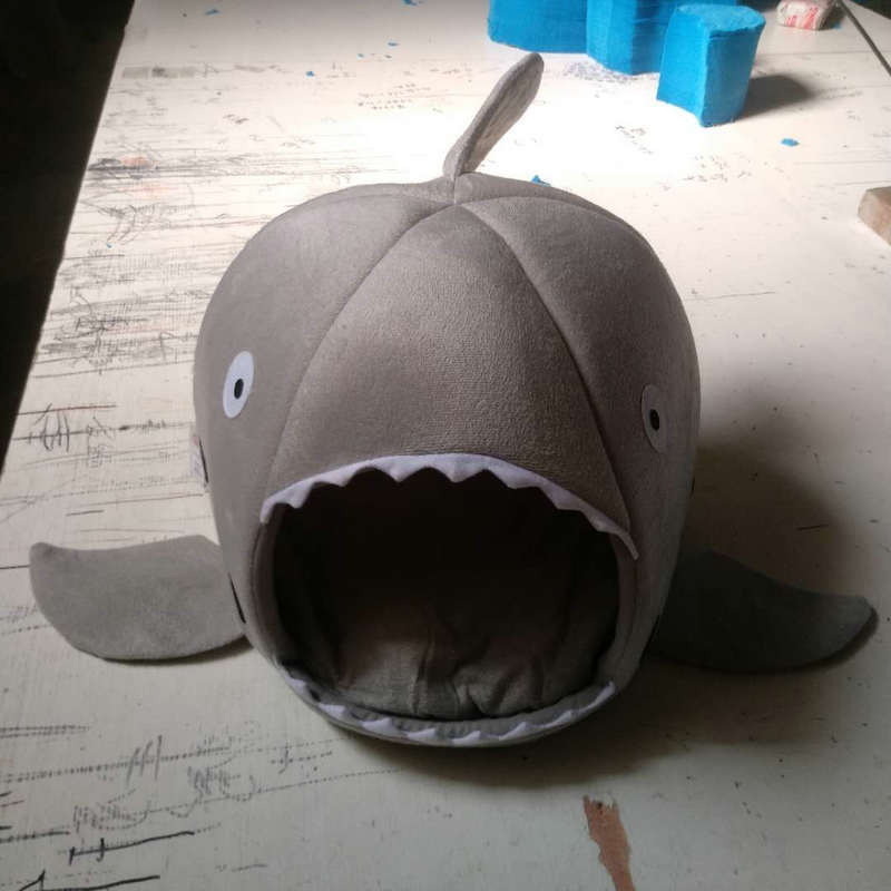 10998086364_2042222145