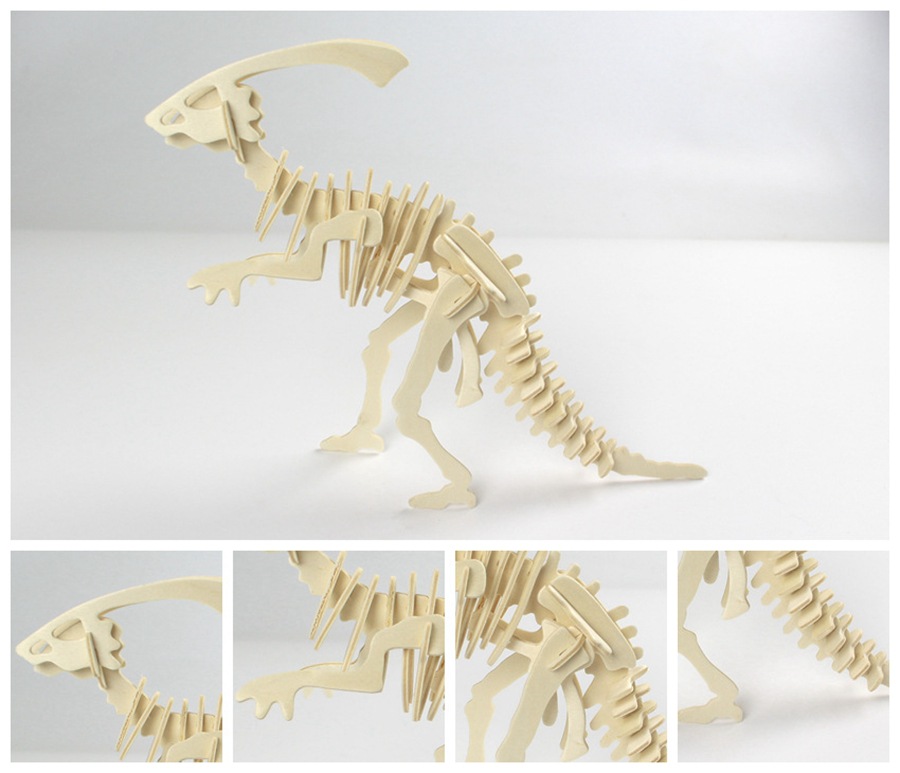 4156761903_1433500109