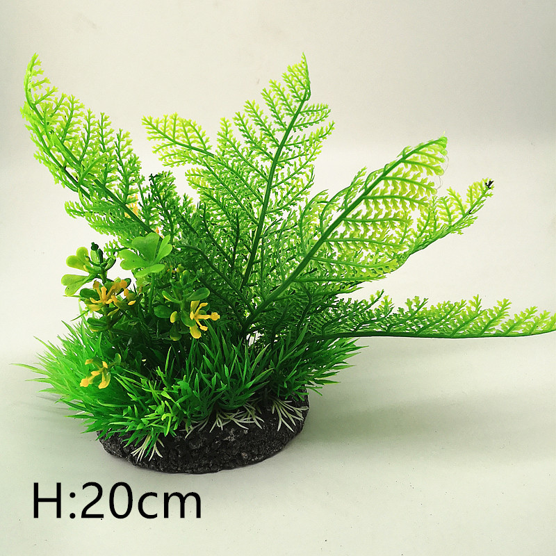 IMG_20190701_161634_副本