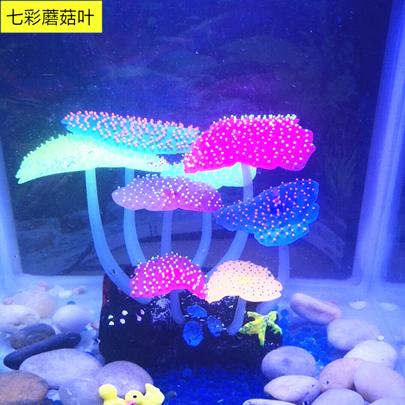 QQ图片20190712174251