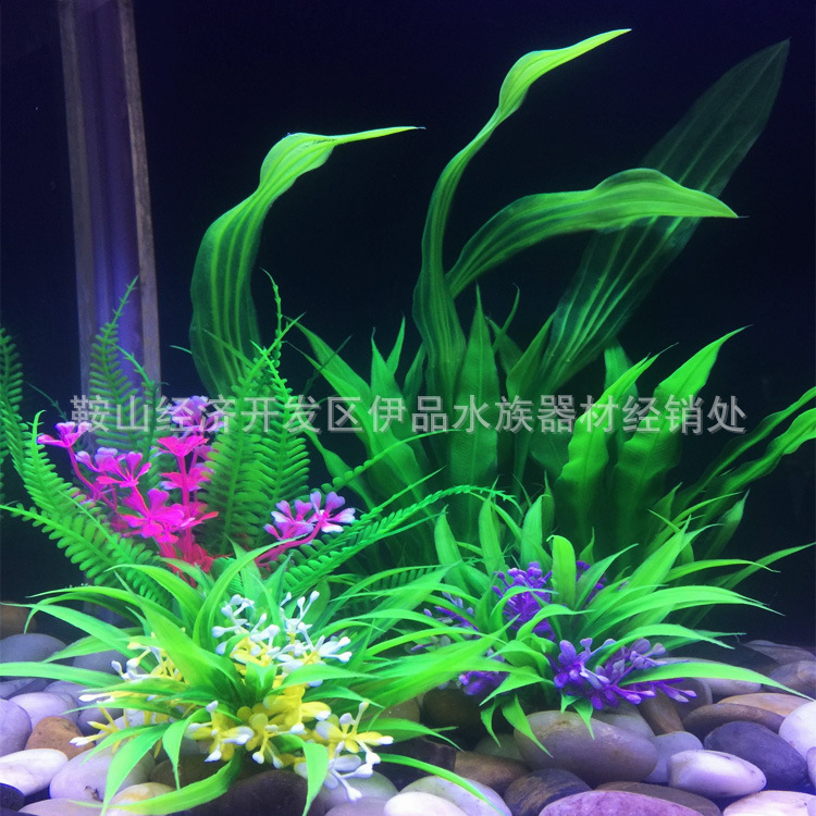 O1CN014rDsmp1KVtvMbSTTE_!!1035