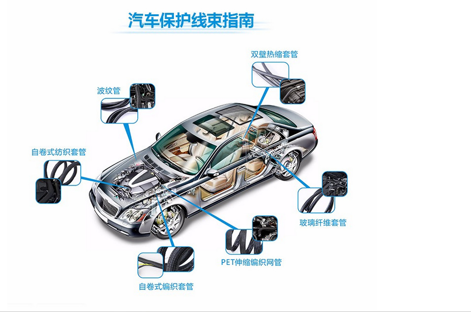 8629737472_534230809