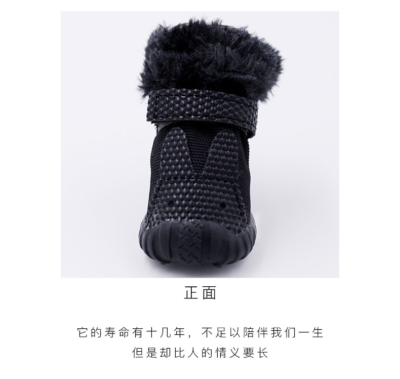 宠物鞋-_r17_c1