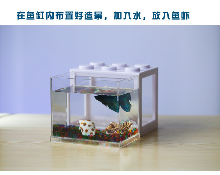 斗鱼缸_描述_15.jpg