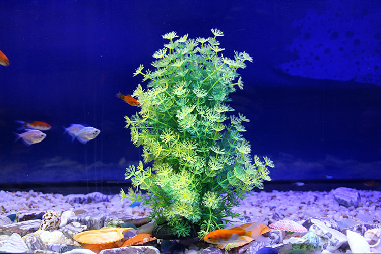 TB23Y8daHxmpuFjSZJiXXXauVXa_!!