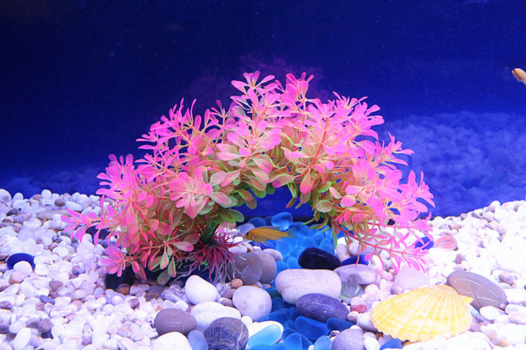 TB2eT1fzxSYBuNjSspjXXX73VXa_!!