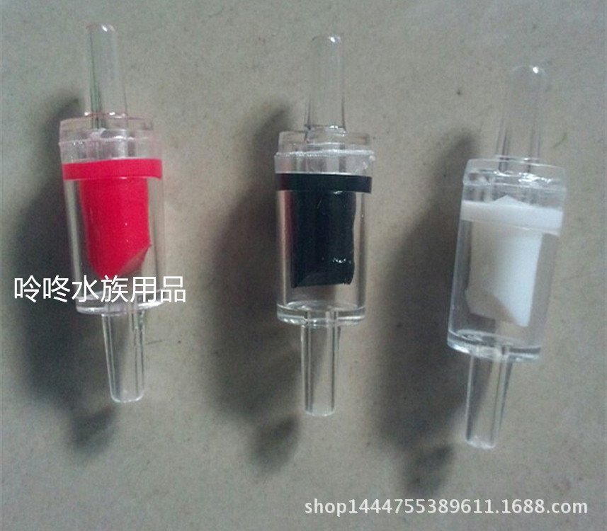 3596346352_584098406