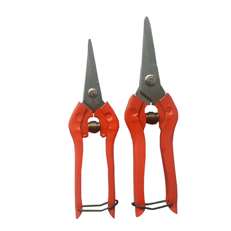 微信图片_20190403191116_副本