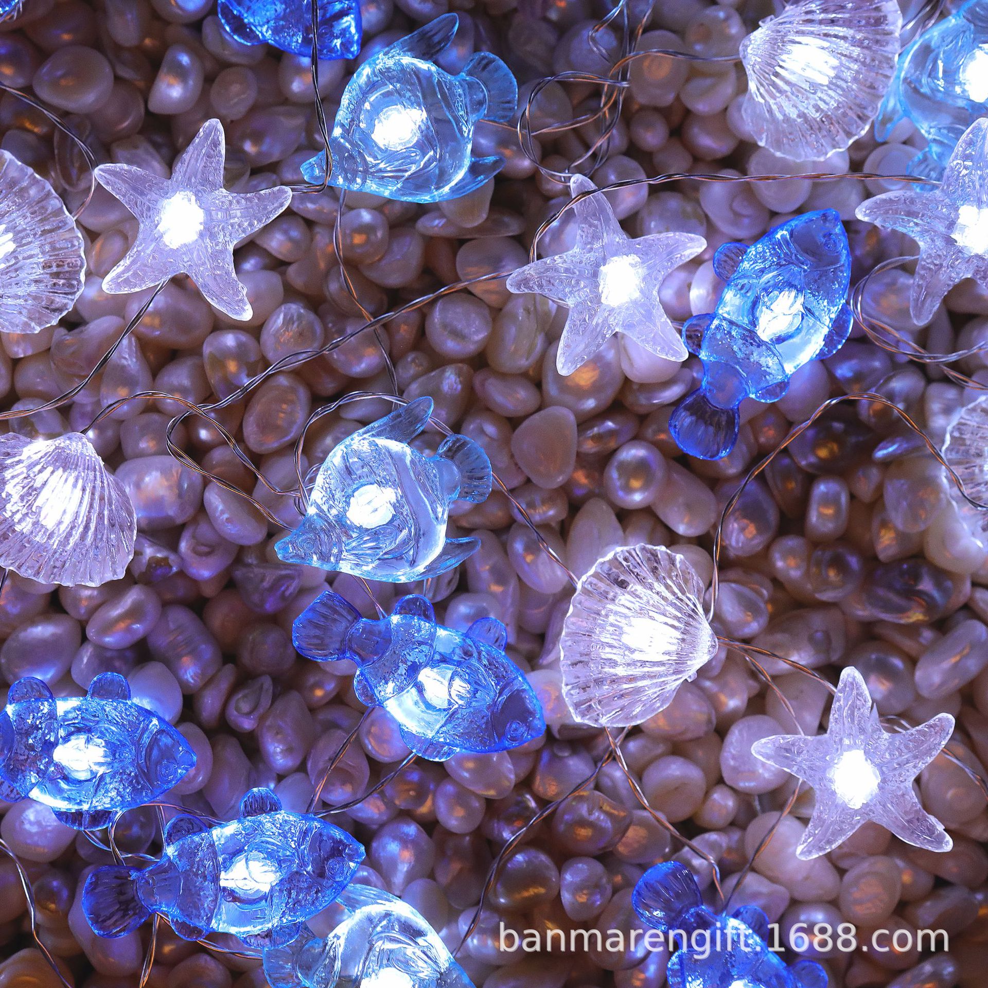 sealife lights.jpg