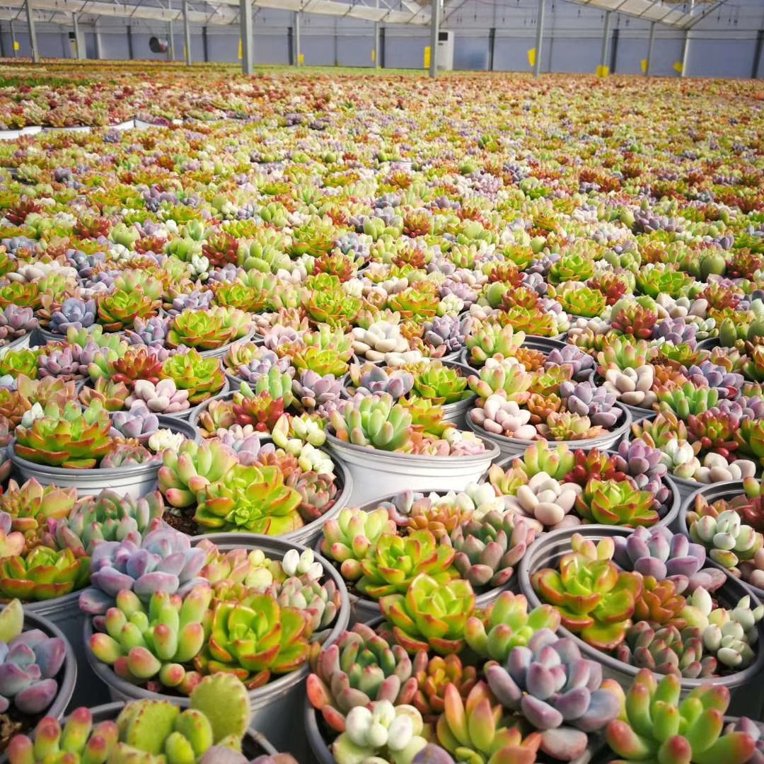 cdbe57d50a5d964293c5faafb25f10