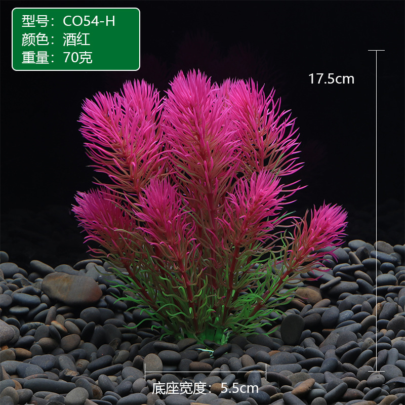 CO54-H酒红.JPG