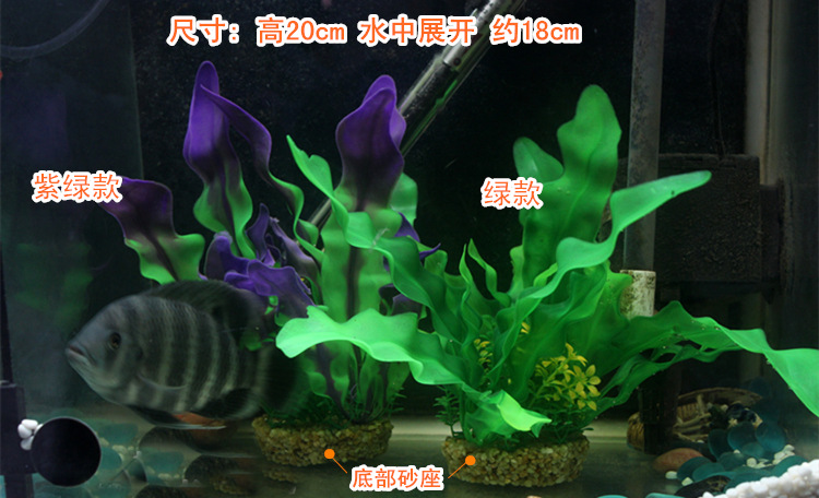 TB2GWwCcXXXXXaYXpXXXXXXXXXX_!!