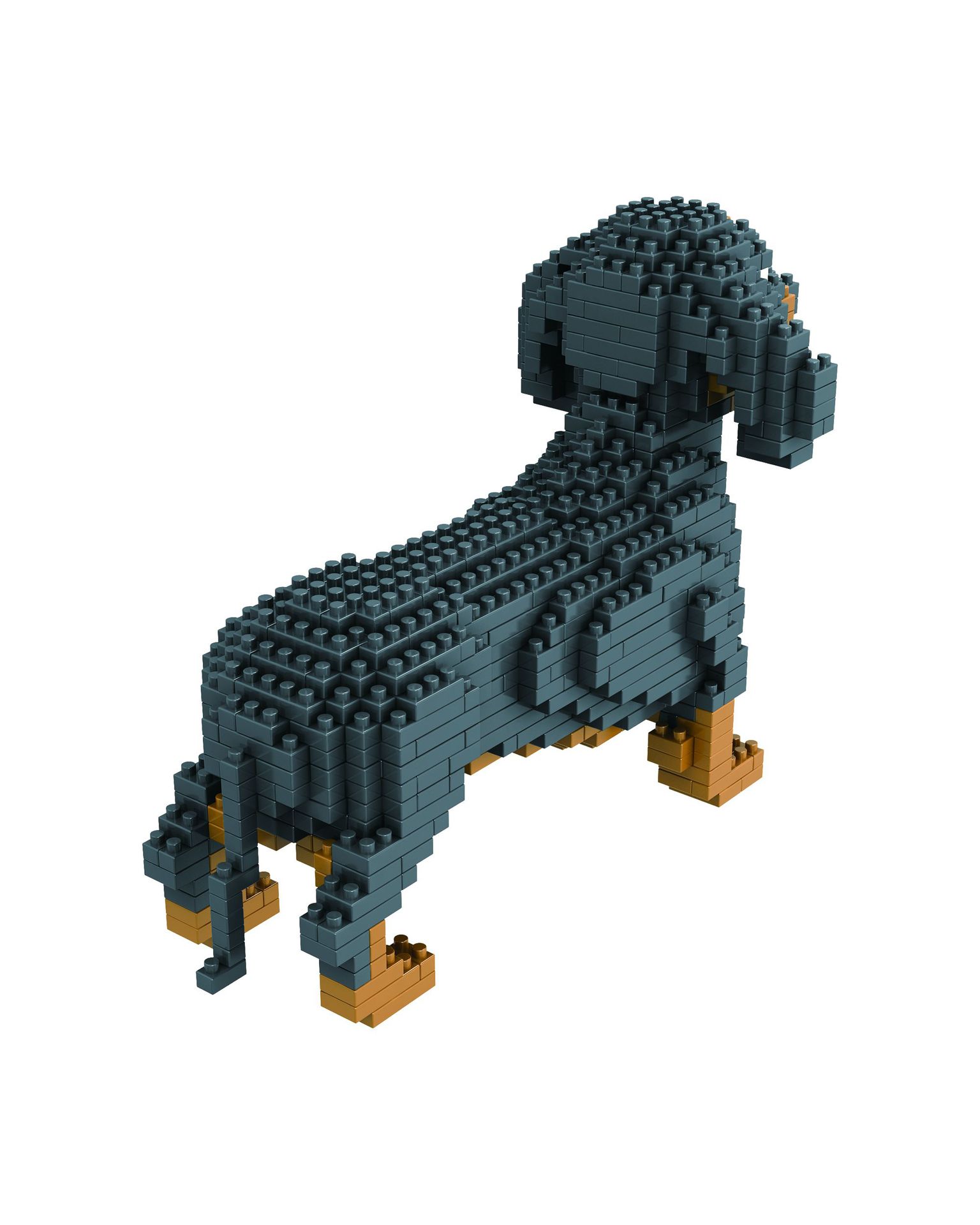 腊肠犬2 副本.jpg