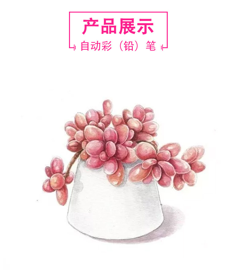 12色水彩3