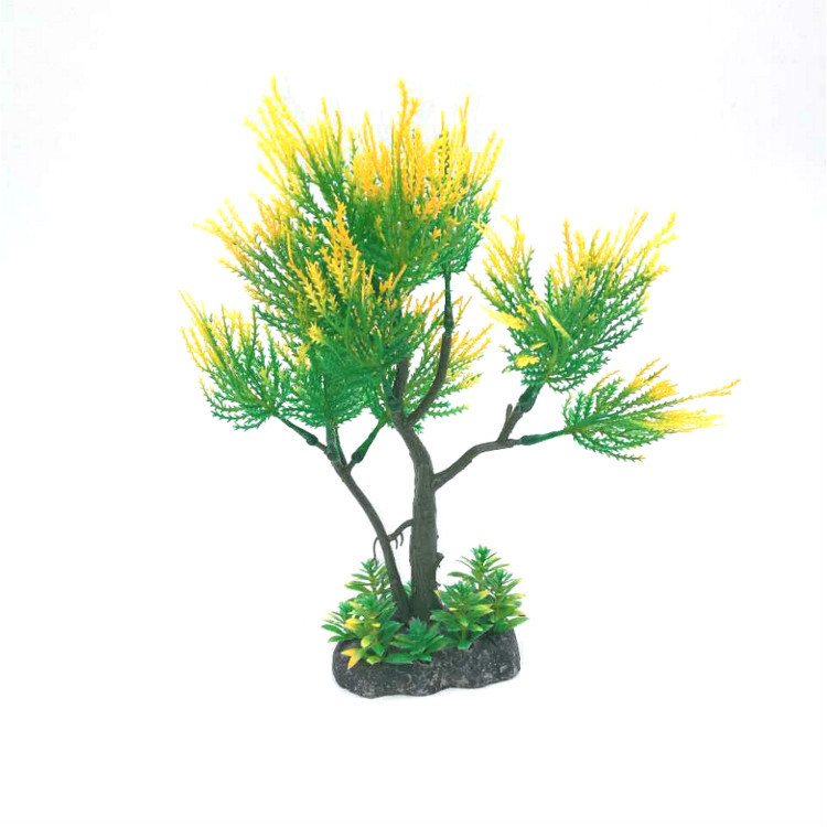 4645450970_584098406