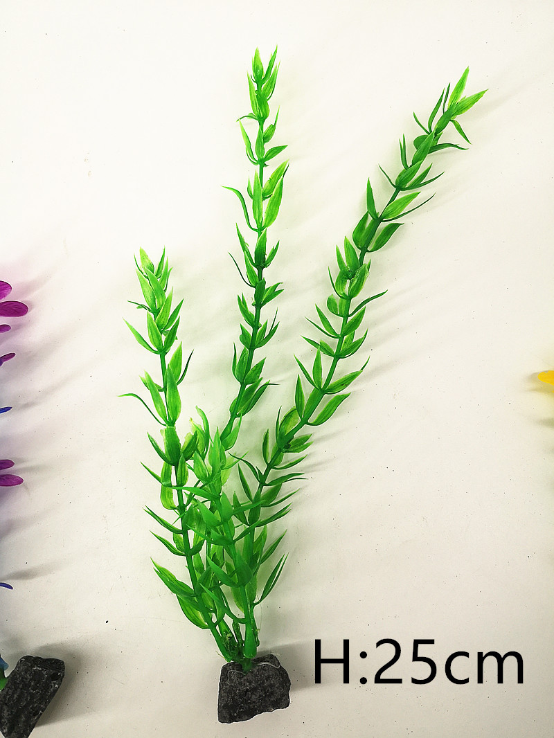 IMG_20190701_104703_副本