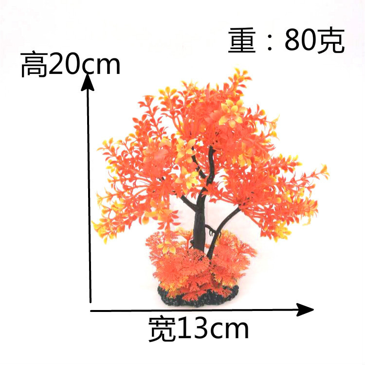 4644569425_584098406