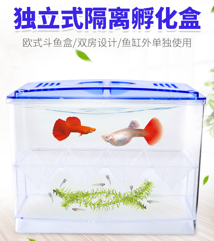 截图20190620105133