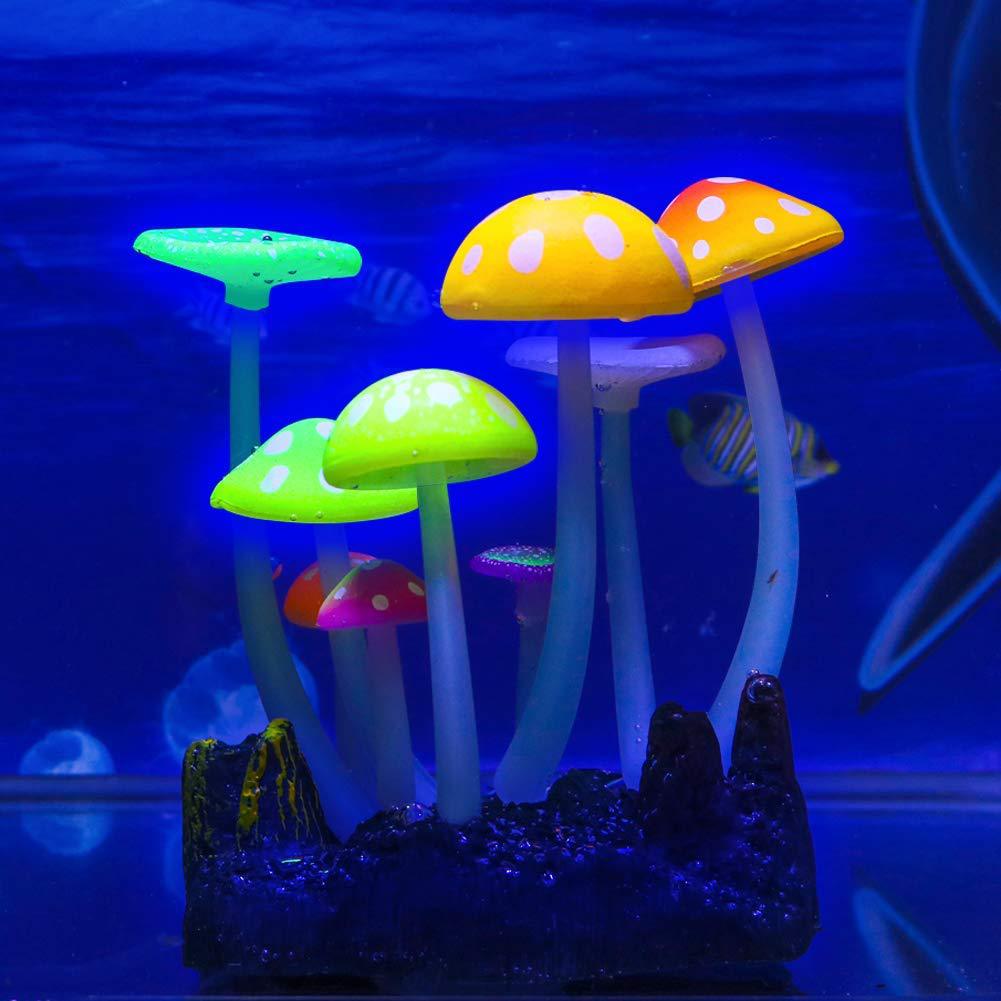 61f8aEwCRIL._AC_SL1001_