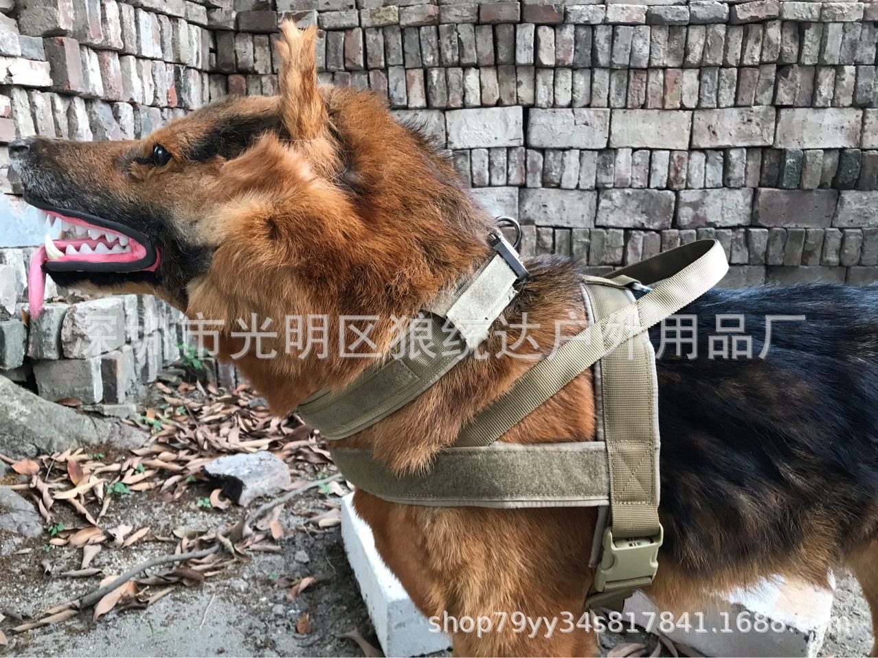 眼镜狗圈 (27) - 万能看图王.jpg