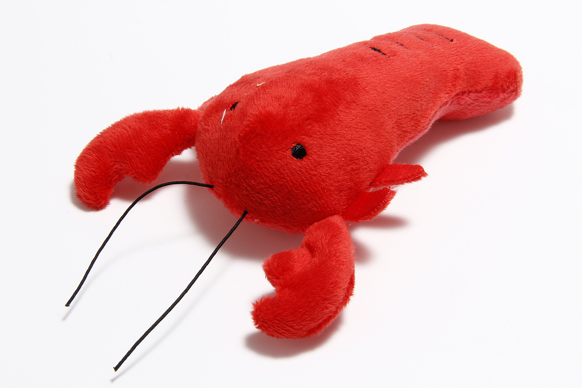 新款宠物毛绒玩具 (4).jpg