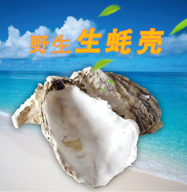 O1CN01YG0aQ62AC4nZaOHic_!!7999