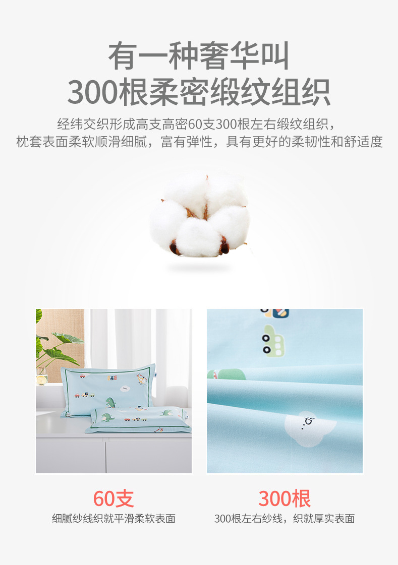 小龙迪详情页-1_09.jpg