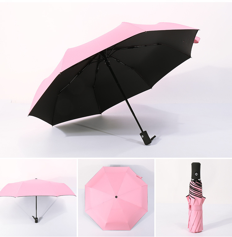 10966772673_892876578